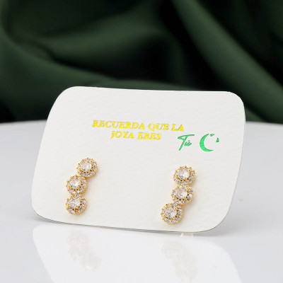 Aretes en covergol Rodinado