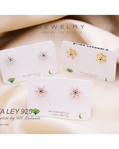 Aretes En Plata Ley 925